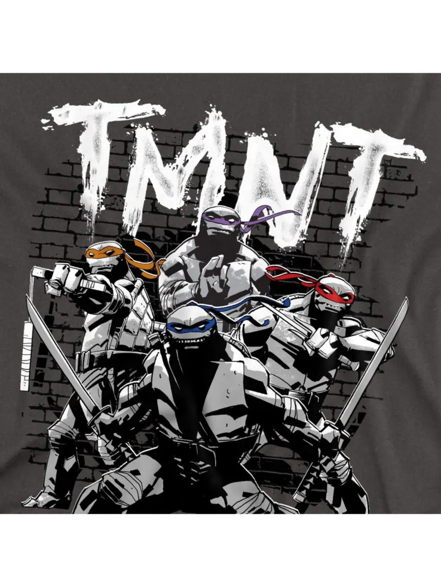 Классическая футболка TMNT больших размеров TEENAGE MUTANT NINJA TURTLES — изображение 2 из 3, темно-серый