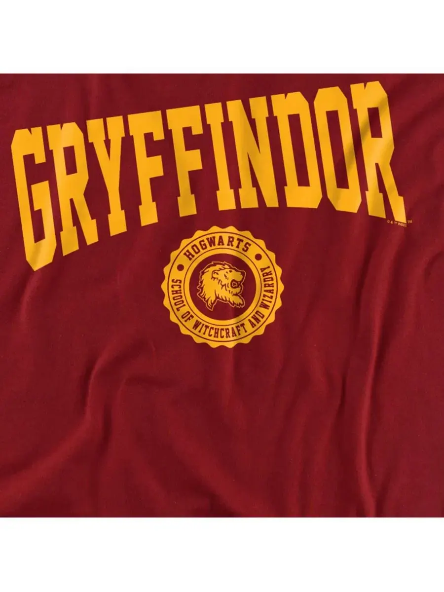 Мужская футболка с эмблемой Гриффиндора Harry Potter — изображение 2 из 4, красный