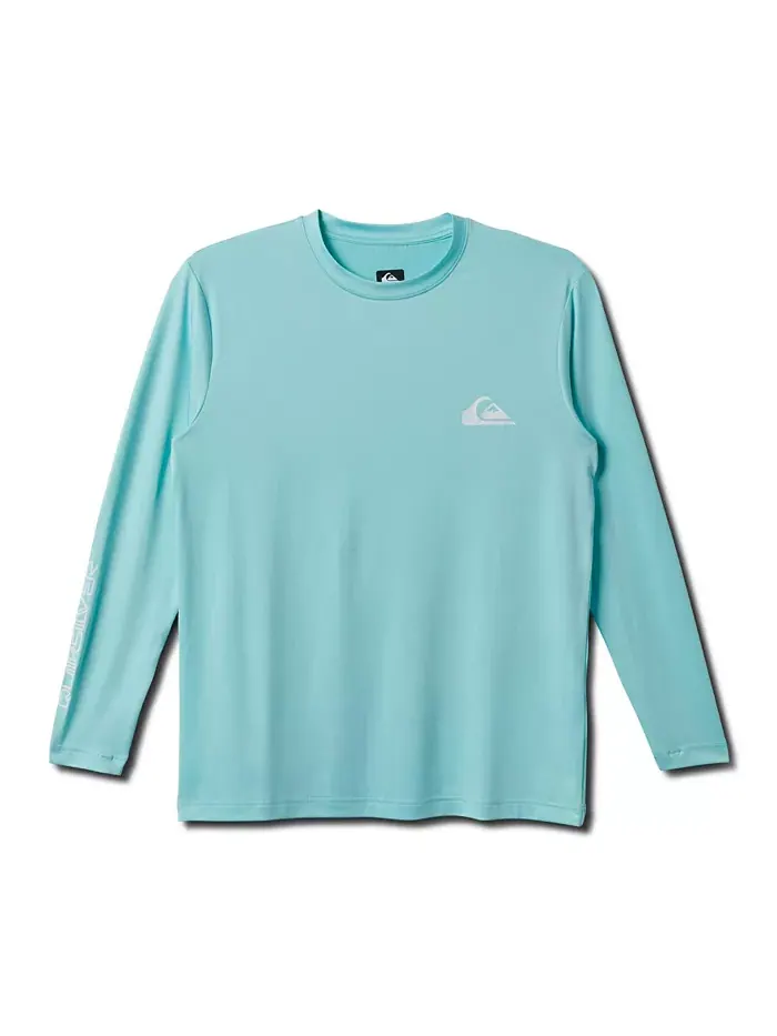Мужская повседневная футболка с длинным рукавом Everyday Surf Quiksilver — изображение 1 из 2, голубой