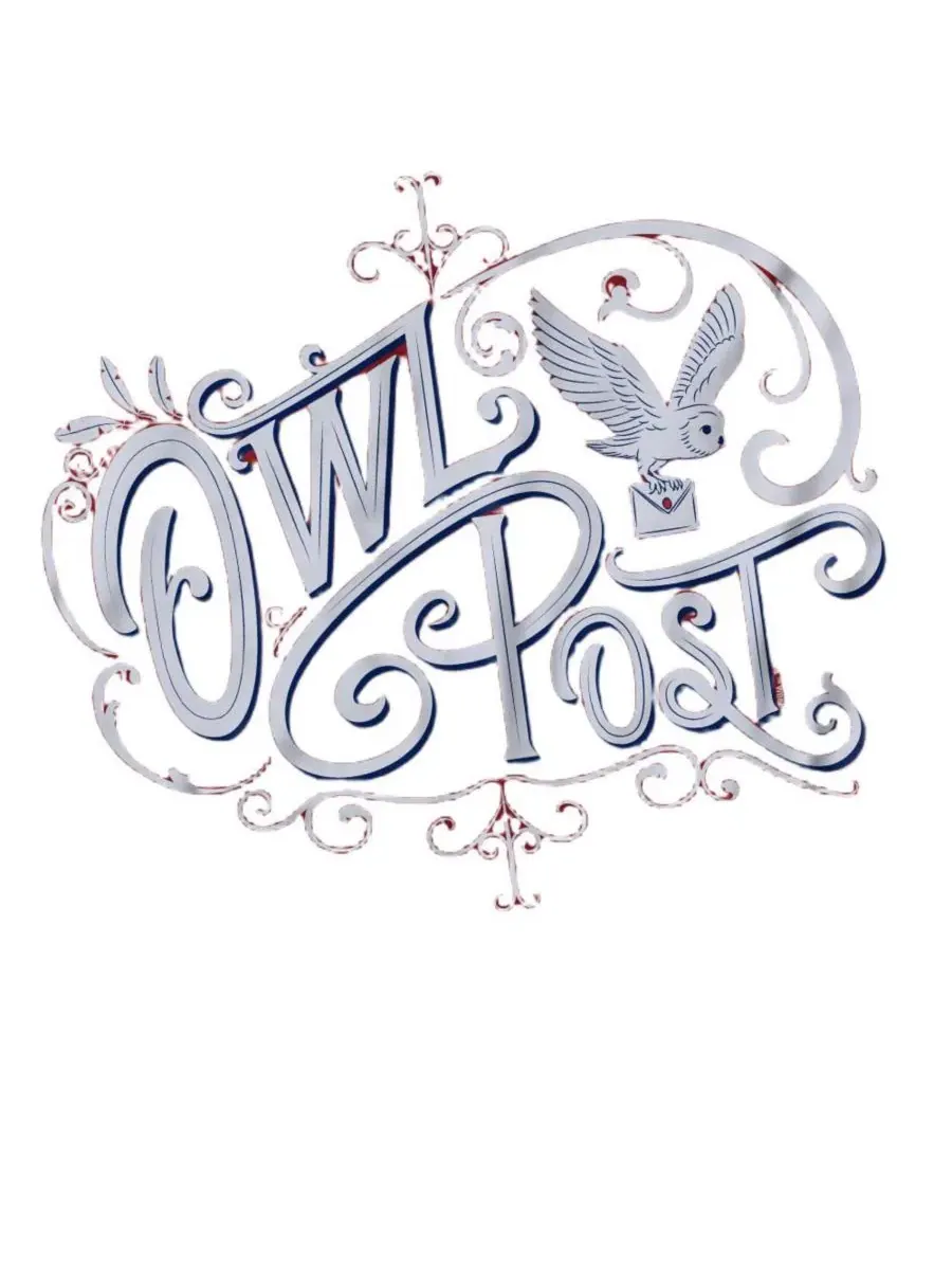 Футболка с длинным рукавом Owl Post Harry Potter — изображение 3 из 3, темно-синий