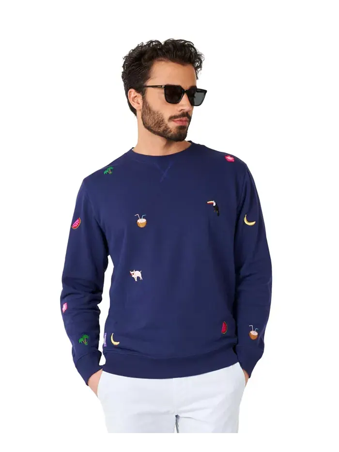 Мужские свитера Deluxe OppoSuits — изображение 1 из 4, темно-синий