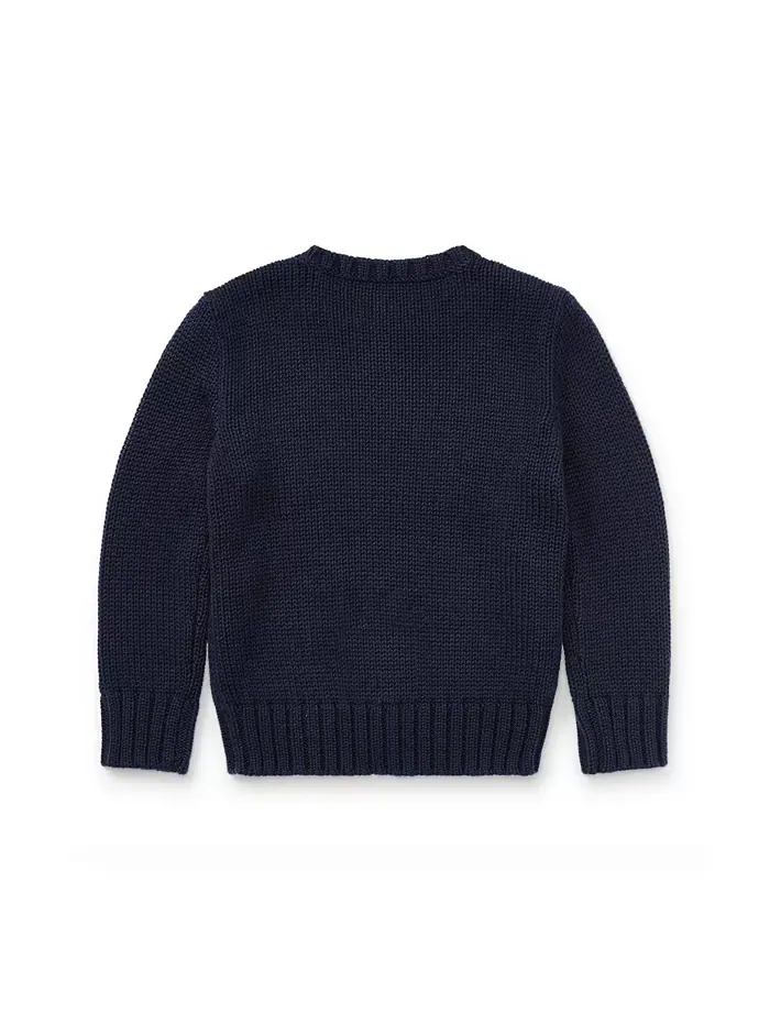 Свитер The Iconic Flag для малышей и мальчиков Polo Ralph Lauren — изображение 2 из 6, темно-синий