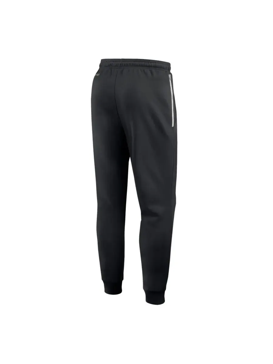 Nike Мужские черные спортивные брюки Purdue Boilermakers 2025 Sideline Performance Taper Pants — изображение 2 из 3, черный