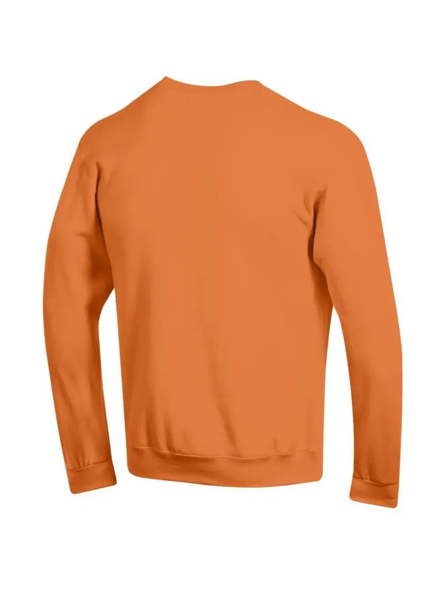Champion Мужская толстовка Tennessee Orange Tennessee Volunteers Basic Arch Fleece Pullover — изображение 3 из 3, оранжевый