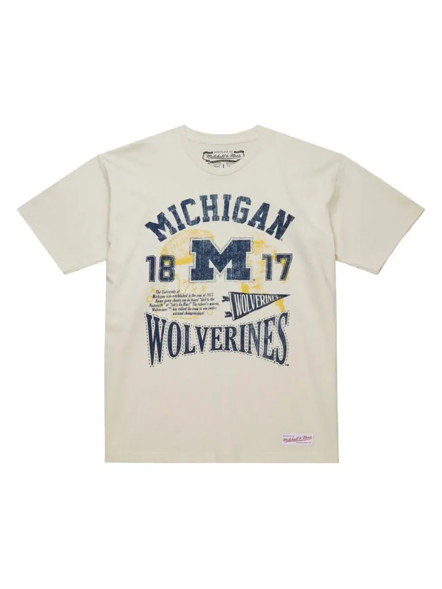 Mitchell & Ness Мужская кремовая футболка Michigan Wolverines Heritage Scholar — изображение 2 из 5, бежевый