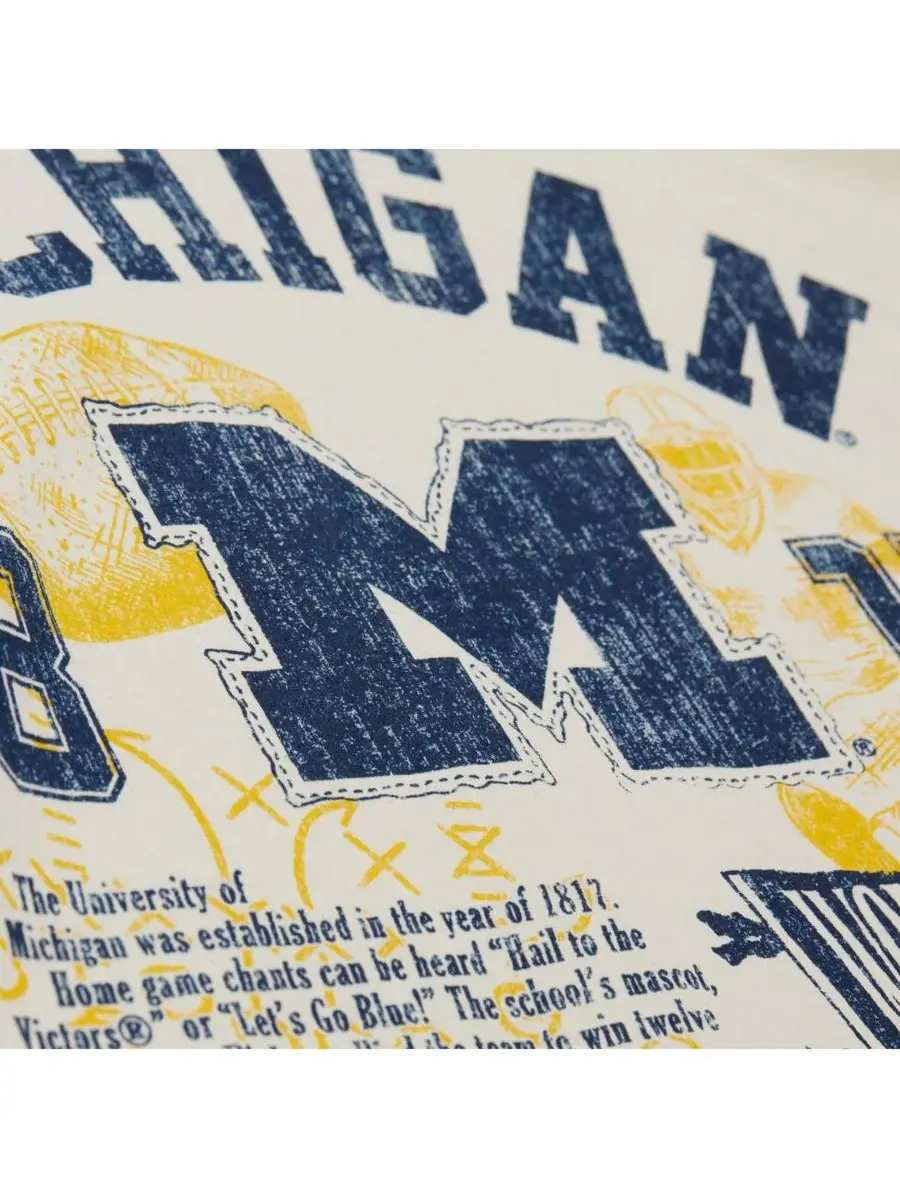 Mitchell & Ness Мужская кремовая футболка Michigan Wolverines Heritage Scholar — изображение 4 из 5, бежевый