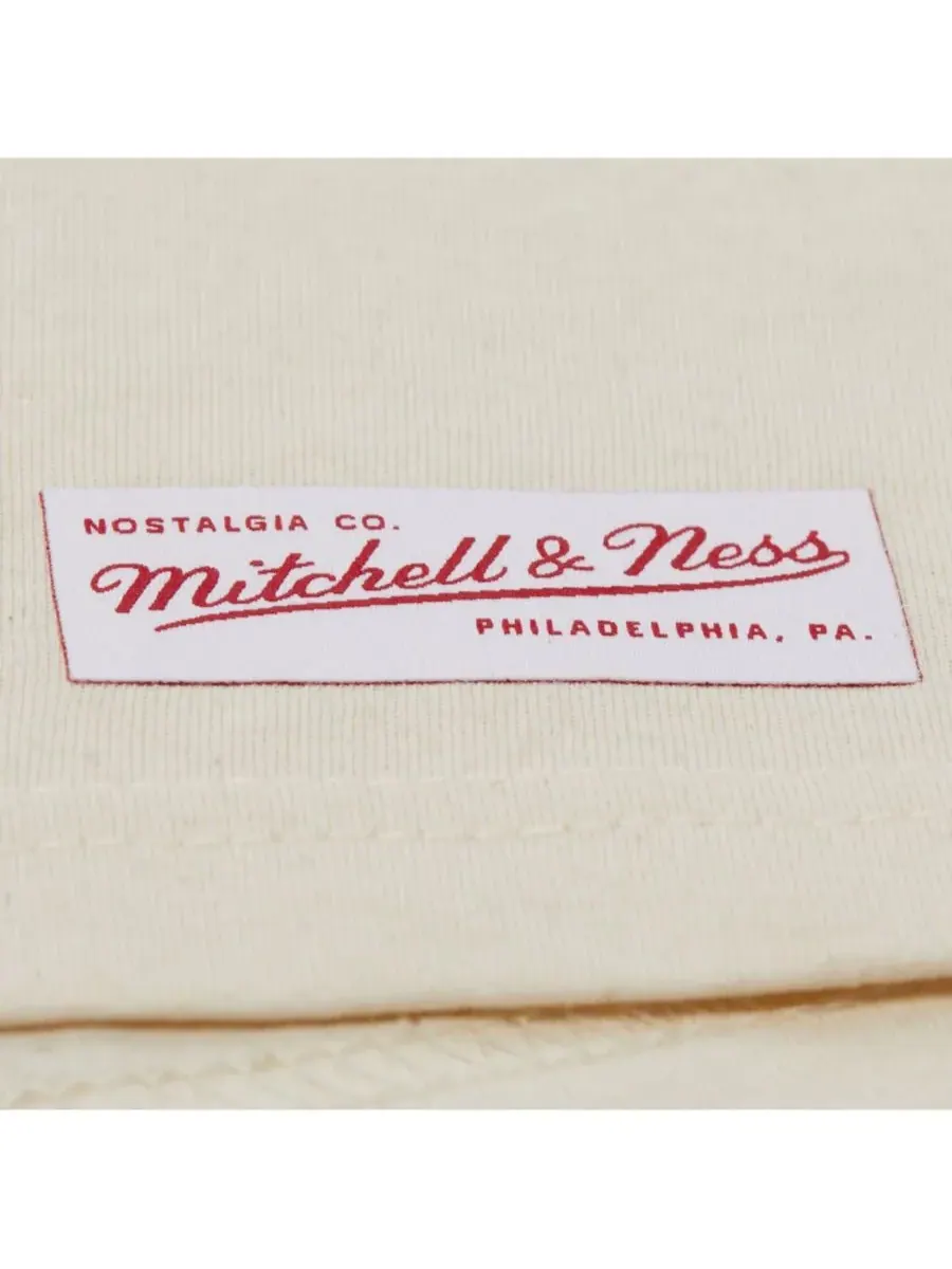 Mitchell & Ness Мужская кремовая футболка Michigan Wolverines Heritage Scholar — изображение 5 из 5, бежевый
