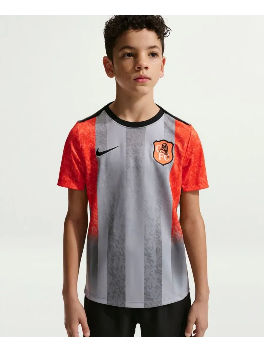 Футболка для предматчевой разминки Chelsea 2025/26 Academy Pro Pre-Match Top Nike — изображение 1 из 4, серый