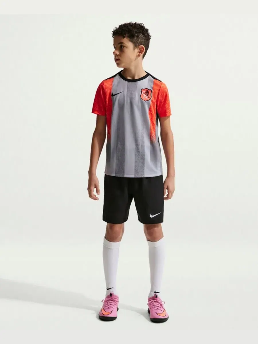 Футболка для предматчевой разминки Chelsea 2025/26 Academy Pro Pre-Match Top Nike — изображение 3 из 4, серый