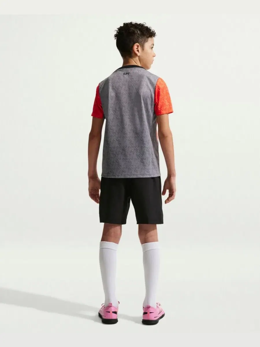 Футболка для предматчевой разминки Chelsea 2025/26 Academy Pro Pre-Match Top Nike — изображение 4 из 4, серый