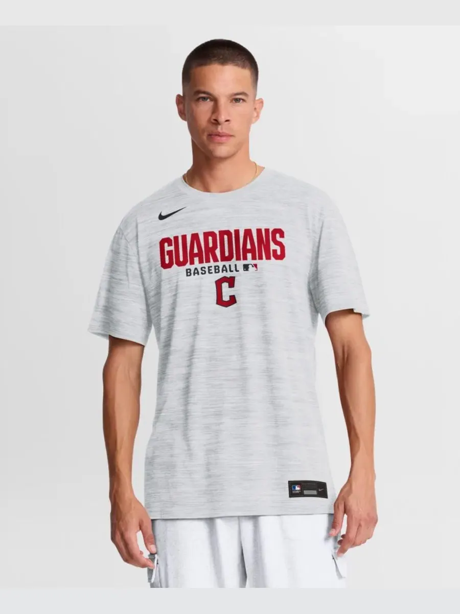 Футболка Nike с принтом, модель Authentic Collection Velocity Dri-FIT — изображение 1 из 4, белый