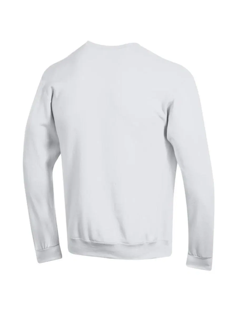 Толстовка Champion Basic Arch Fleece Pullover — изображение 3 из 3, белый