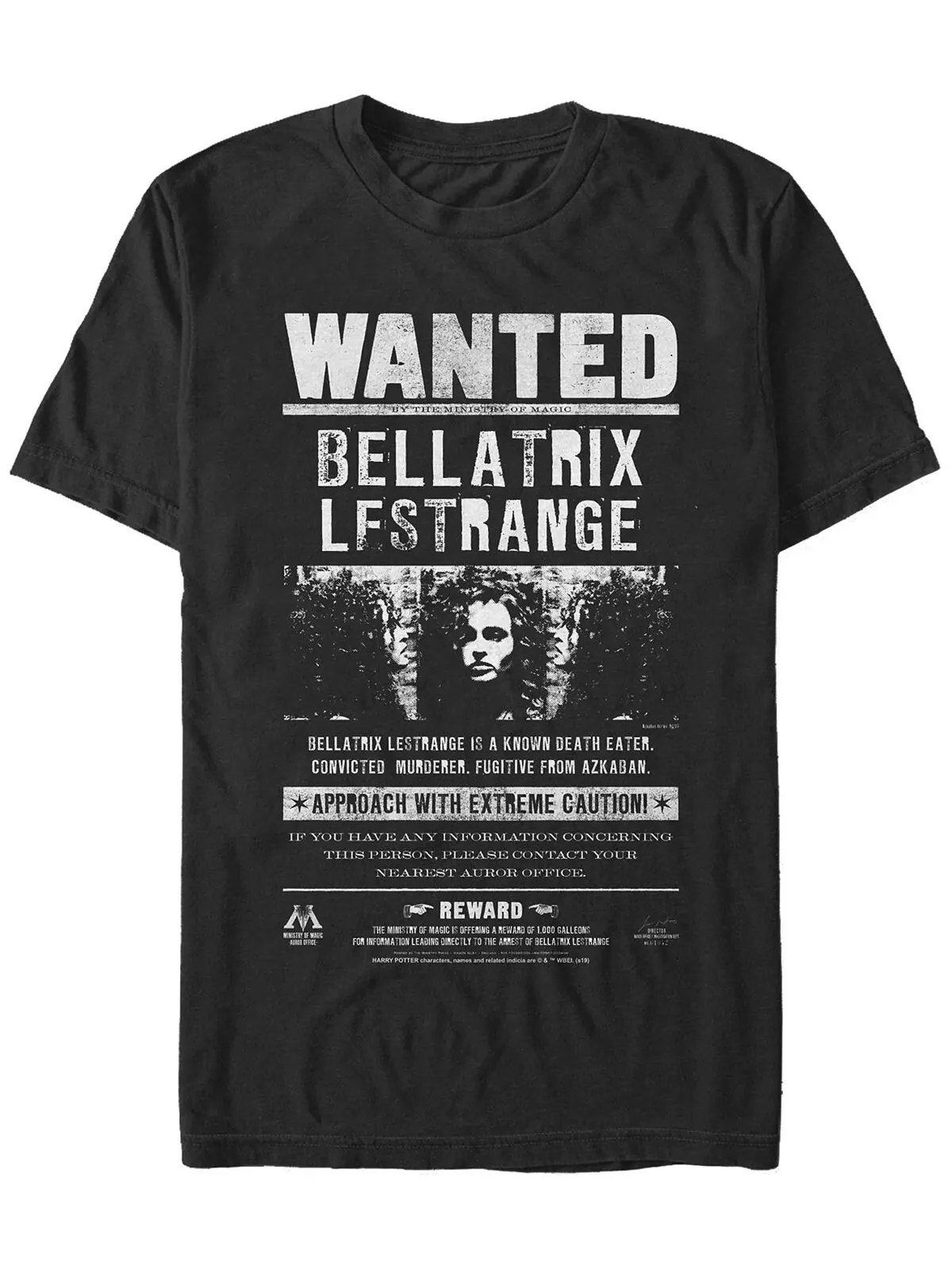 Мужская футболка Harry Potter Bellatrix Wanted — изображение 1 из 1, черный