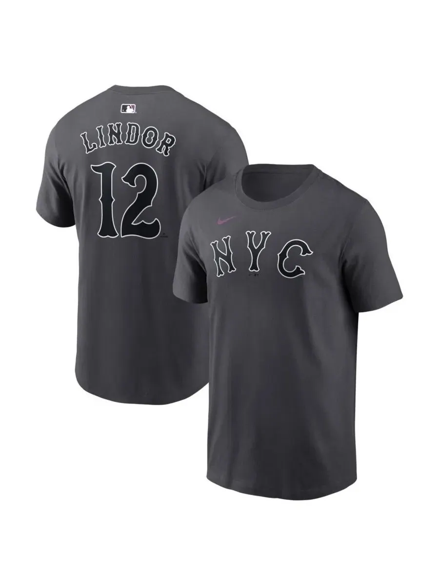Футболка с длинным рукавом Francisco Lindor City Connect Nike — изображение 1 из 3, серый