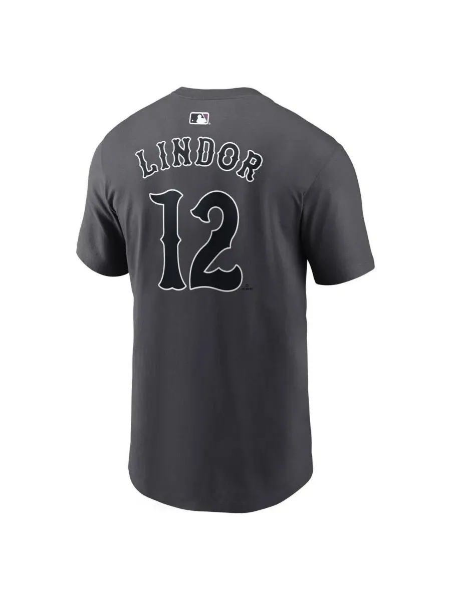 Футболка с длинным рукавом Francisco Lindor City Connect Nike — изображение 2 из 3, серый