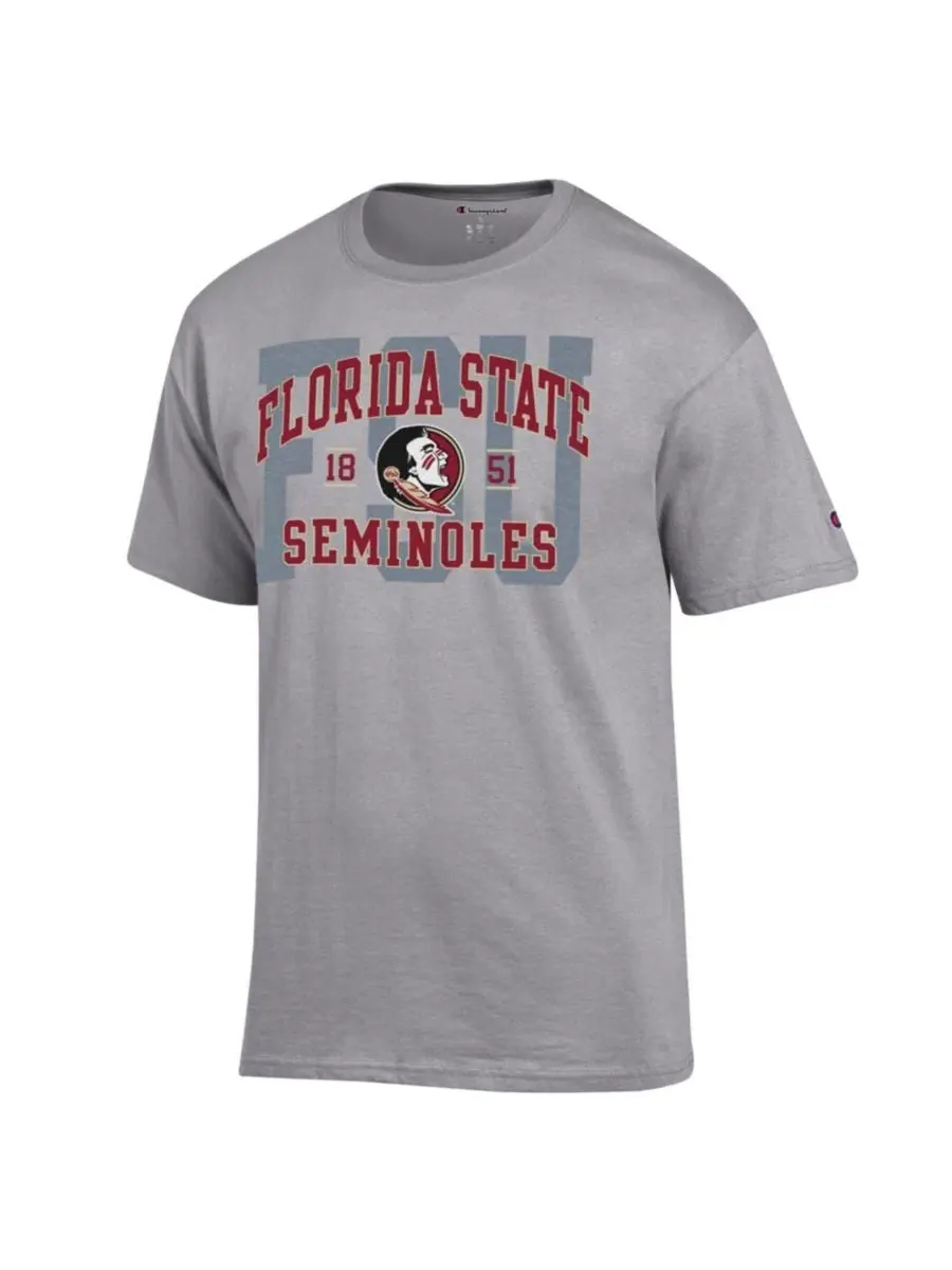 Футболка с принтом Florida State Seminoles Varsity Champion — изображение 2 из 3, серый