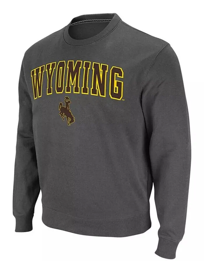 Мужская толстовка-пуловер из твила с логотипом Wyoming Cowboys Arch & Logo Tackle цвета древесного — изображение 2 из 6