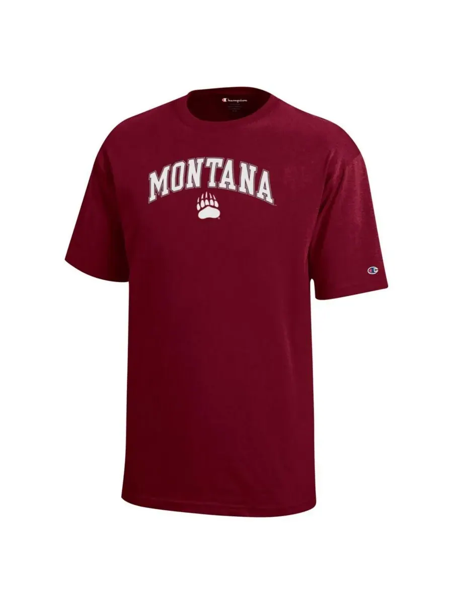 Champion Футболка бордового цвета с логотипом команды Montana Grizzlies "Арка над логотипом" для — изображение 2 из 3