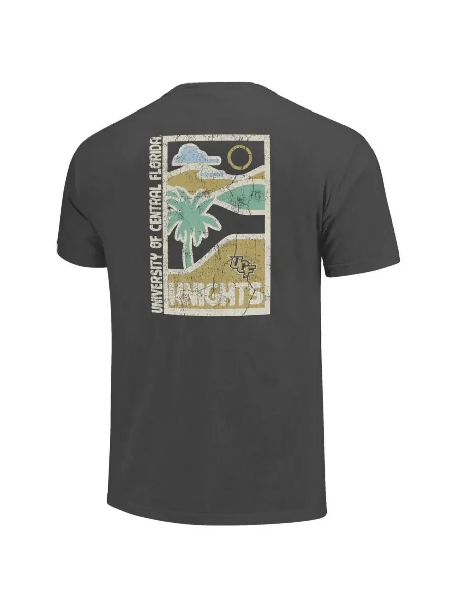 Image One Мужская футболка Graphite UCF Knights Comfort Colors Minimal Vista Distressed Graphics — изображение 3 из 3, серый