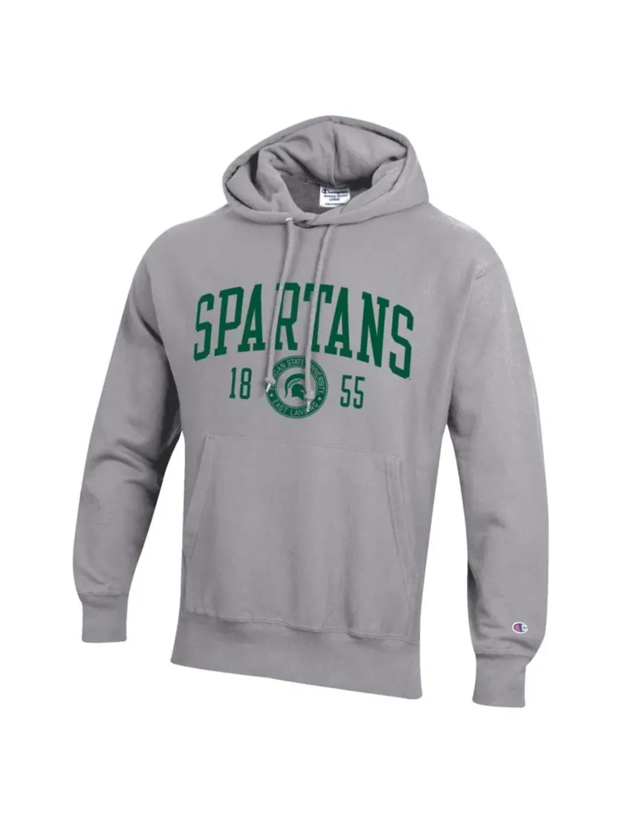 Худи с принтом Michigan State Spartans Champion — изображение 2 из 3, серый