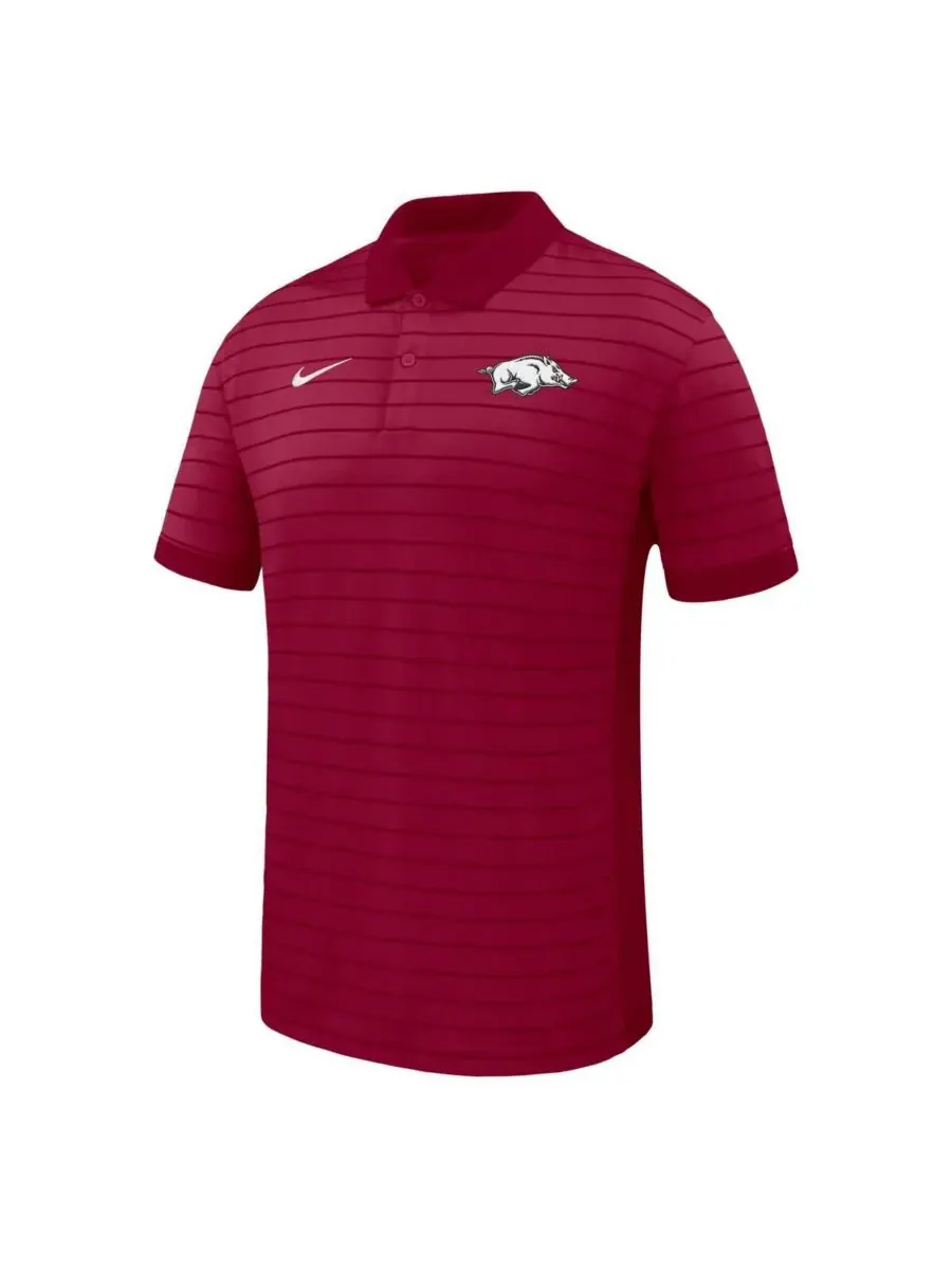 Мужская поло-рубашка Cardinal Arkansas Razorbacks 2025 Early Season Coaches Sideline Victory Stripe — изображение 2 из 3