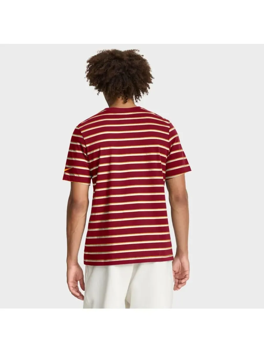 Мужская футболка Cardinal USC Trojans Athletic Prep Legacy Summit Stripe Nike — изображение 2 из 5, красный
