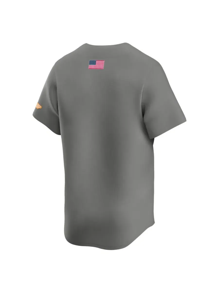 Бейсбольная джерси Nike Alternate Limited Tennessee Volunteers, серая — изображение 3 из 3, серый