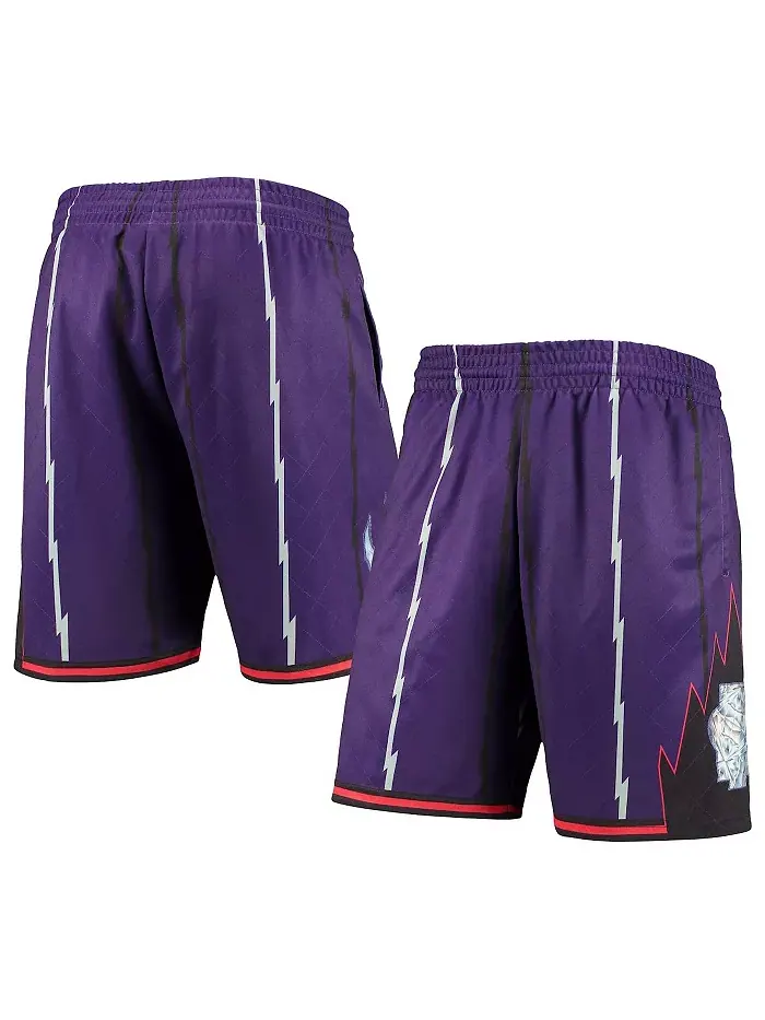 Мужские шорты Toronto Raptors 1998 Hardwood Classics 75th Anniversary Swingman, фиолетовые Mitchell — изображение 1 из 4