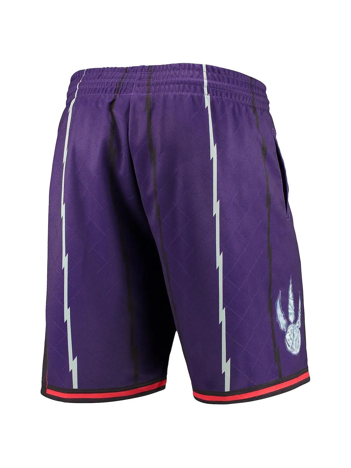 Мужские фиолетовые шорты toronto raptors 1998 hardwood classics 75th anniversary swingman Mitchell — изображение 3 из 4
