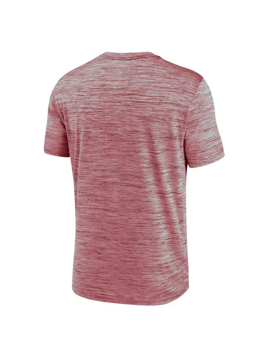 Мужская футболка Cardinal Stanford Cardinal Campus Center Block Velocity Performance Nike — изображение 2 из 3, красный
