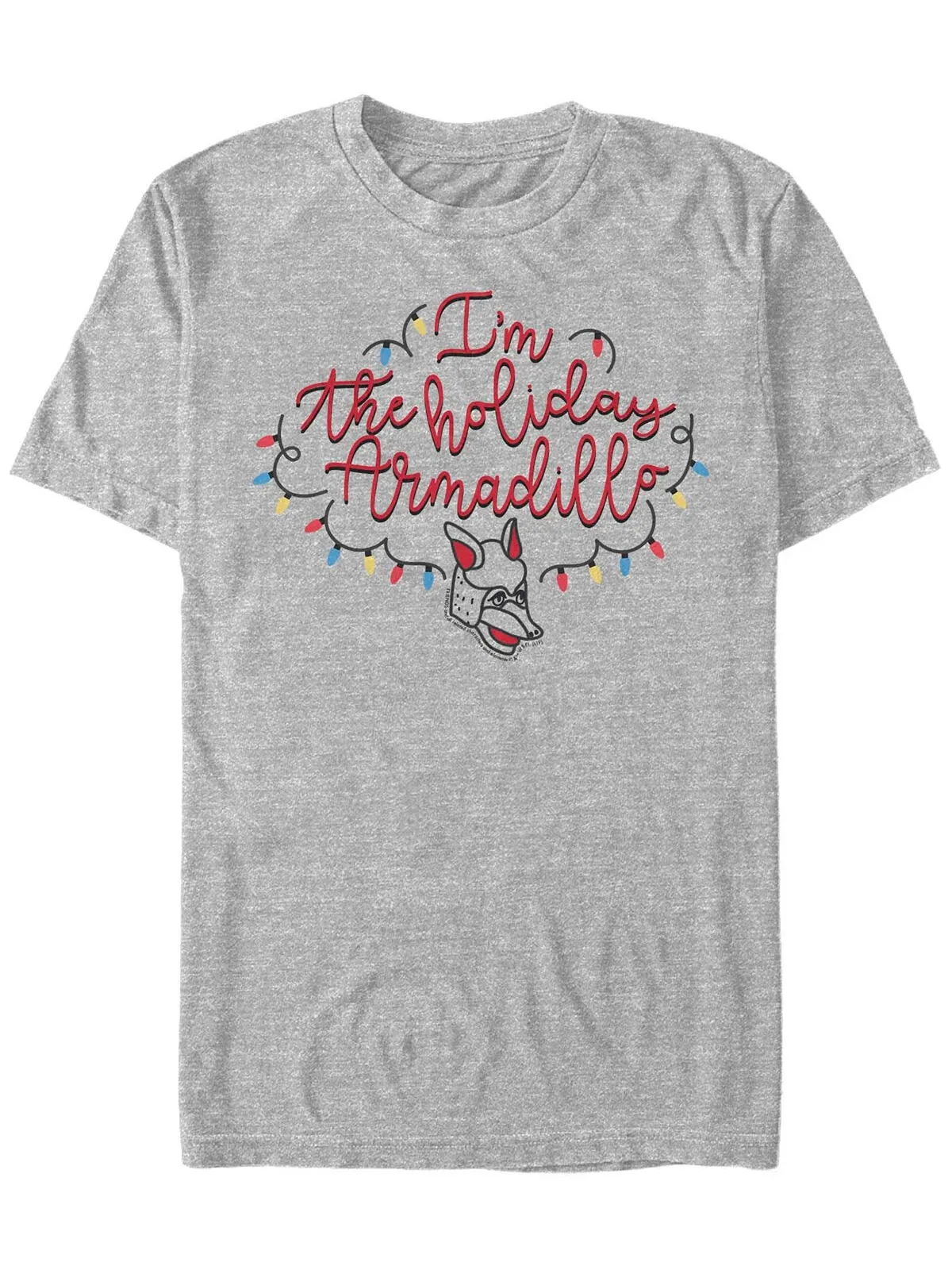 Мужская футболка Friends Holiday Armadillo с коротким рукавом Fifth Sun — изображение 1 из 1, приглушенный