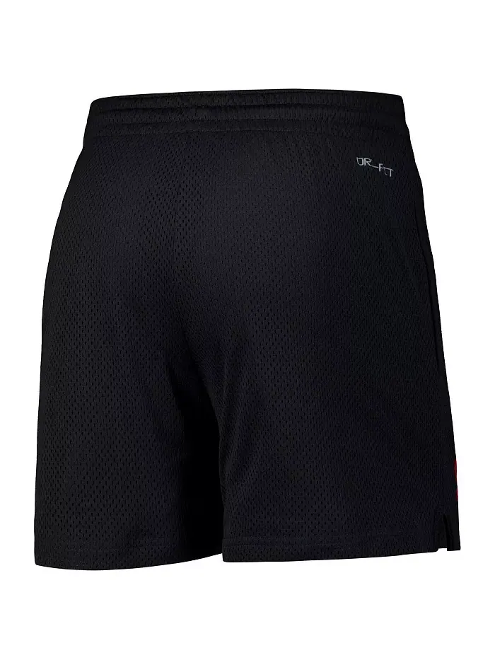 Мужские черные шорты Iowa State Cyclones 2024 Sideline Mesh Nike — изображение 2 из 3