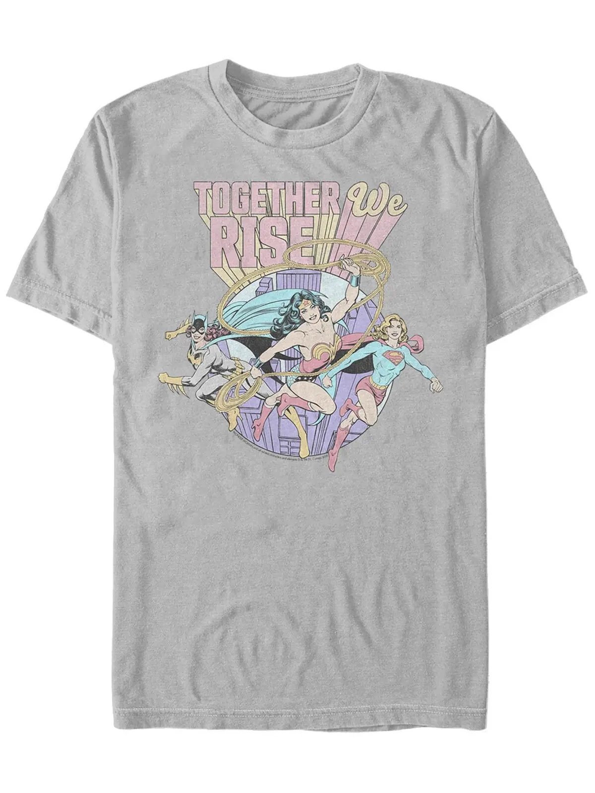 Мужская футболка с коротким рукавом wonder woman dc ladies rise Fifth Sun — изображение 1 из 1, серебристый