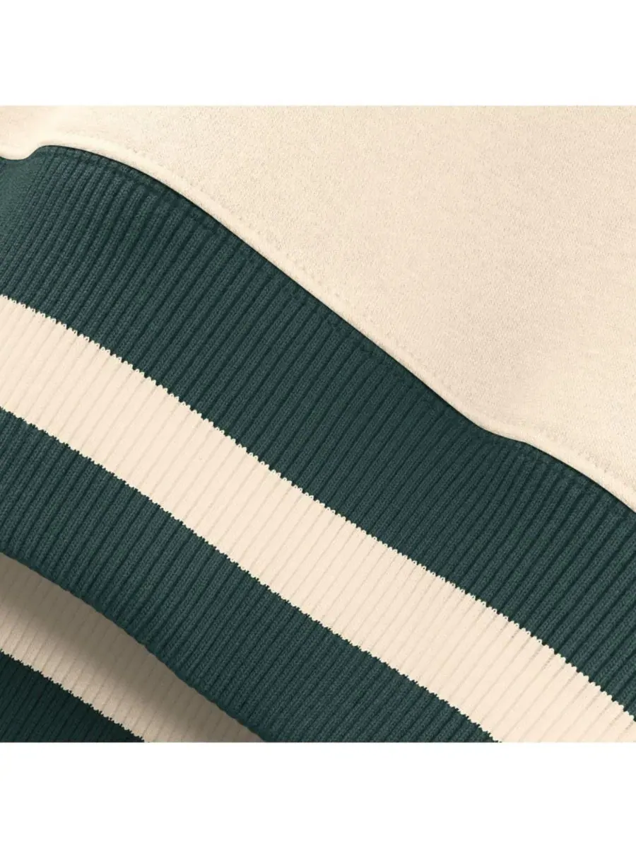 Женский свитшот Nike Michigan State Spartans Legacy Arch Phoenix Oversized — изображение 3 из 5, прозрачный