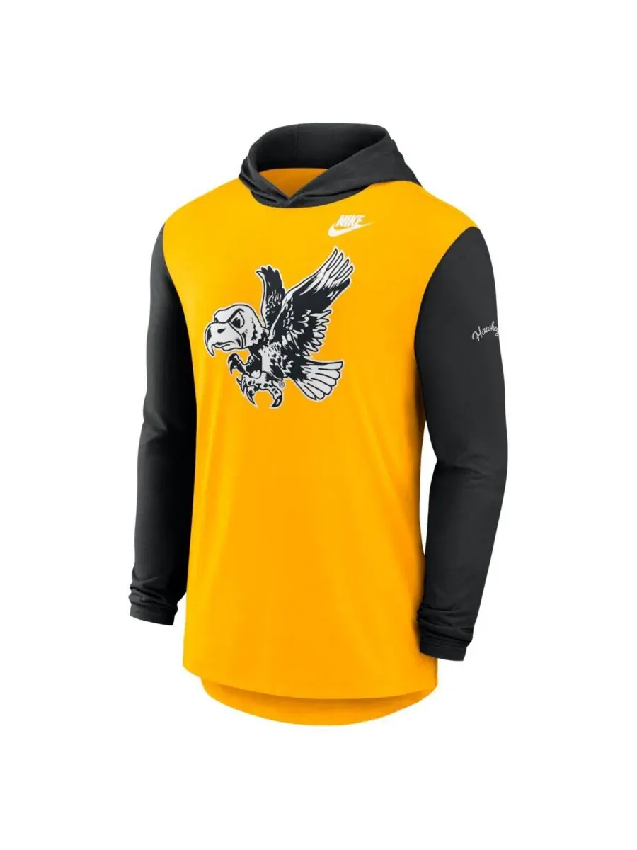 Футболка с капюшоном и длинным рукавом с принтом Iowa Hawkeyes Campus Legacy Tri-Blend Nike — изображение 2 из 5