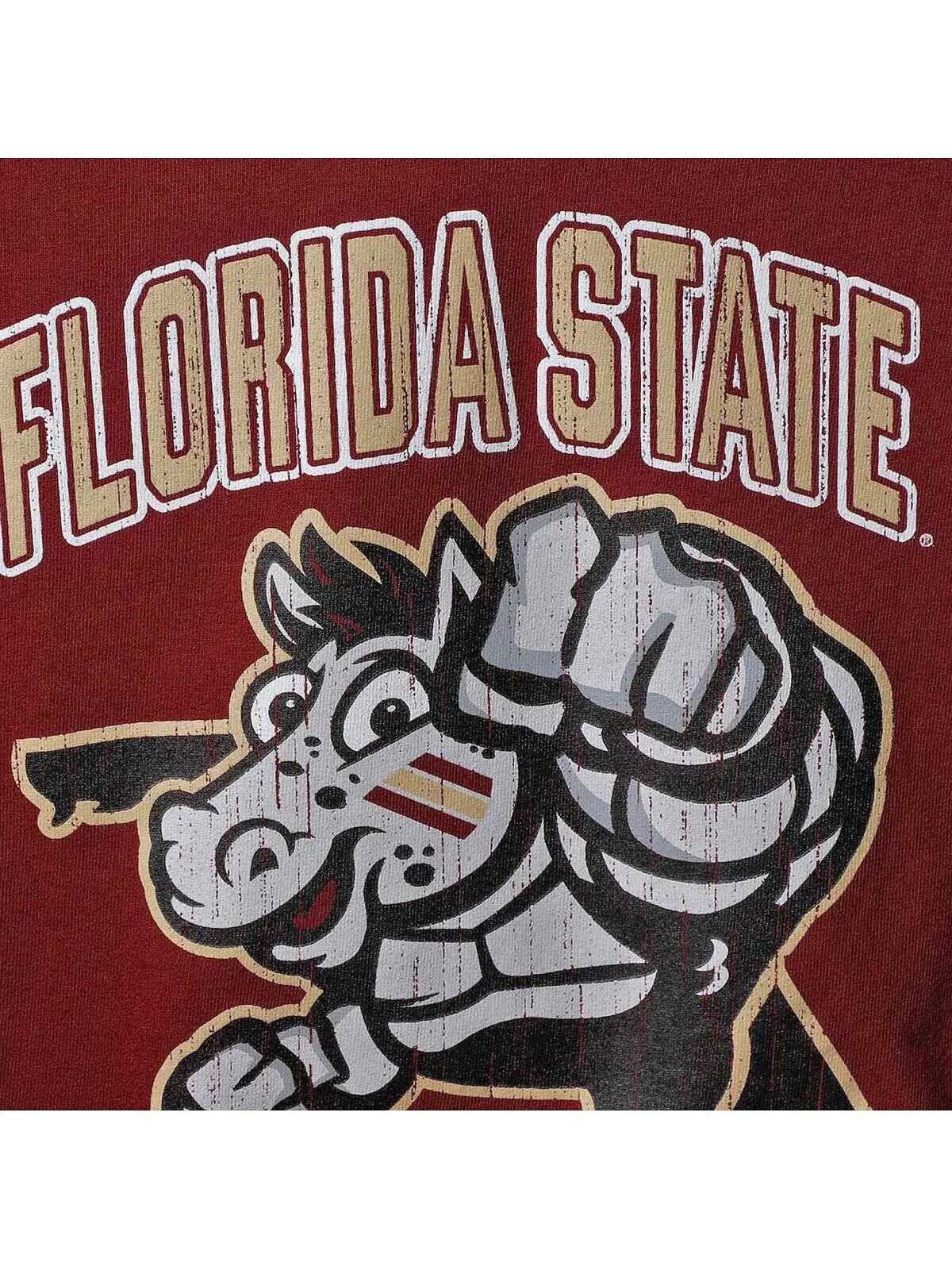 Футболка с сильным талисманом Big Boys Garnet Florida State Seminoles Champion — изображение 2 из 3, гранат