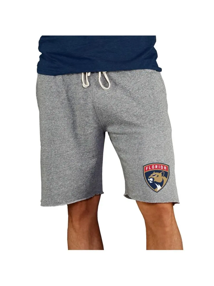 Мужские серые махровые шорты Florida Panthers в стиле мейнстрим Concepts Sport — изображение 1 из 1, серый