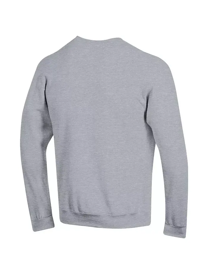 Мужская толстовка с капюшоном Heather Gray Wisconsin Badgers с арочным логотипом Champion — изображение 2 из 3