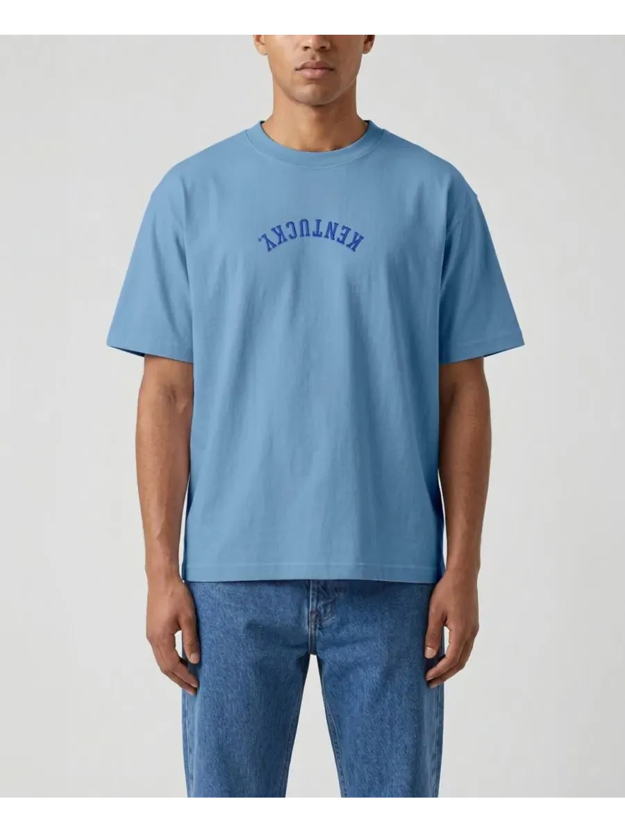 Футболка с вышивкой Upside Down Embroidered Vintage Heavyweight Uscape Apparel — изображение 1 из 2, светлый синий