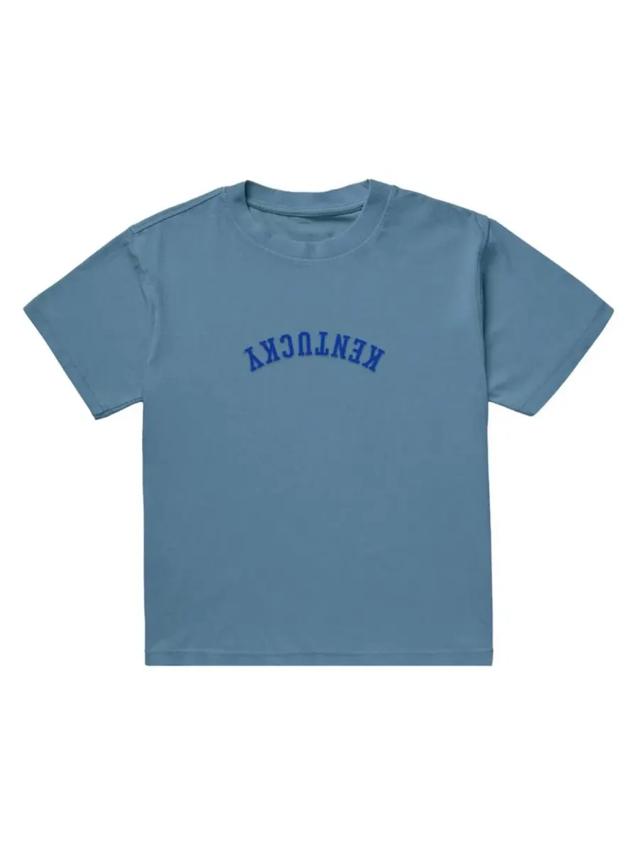 Футболка с вышивкой Upside Down Embroidered Vintage Heavyweight Uscape Apparel — изображение 2 из 2, светлый синий