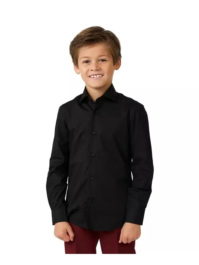 Рубашка с длинными рукавами Little Boys Knight Opposuits — изображение 1 из 3