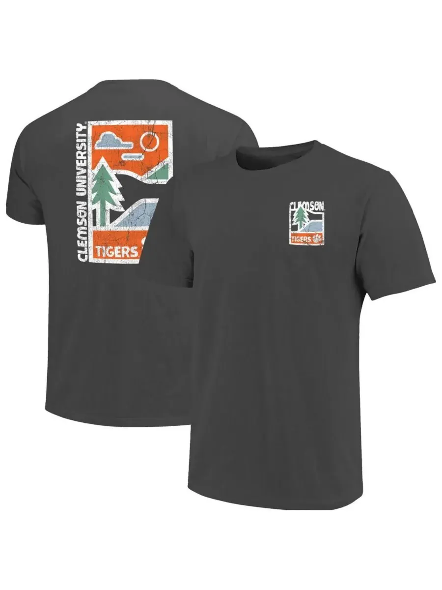 Мужская футболка с графитовым принтом Clemson Tigers Comfort Colors Minimal Vista Distressed — изображение 1 из 3, серый