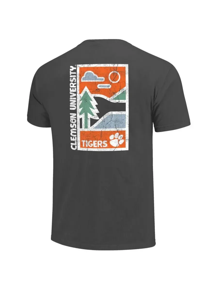Мужская футболка с графитовым принтом Clemson Tigers Comfort Colors Minimal Vista Distressed — изображение 2 из 3, серый