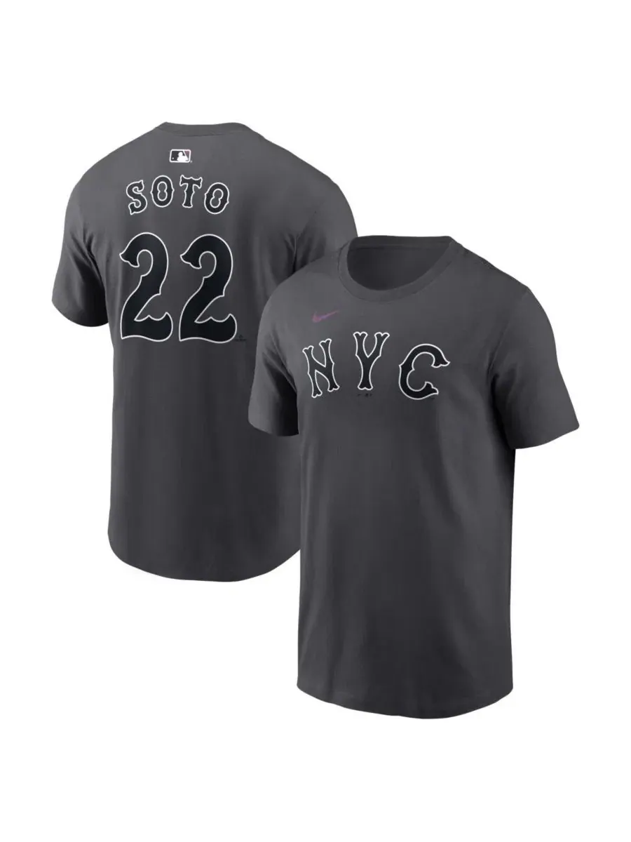 Футболка с длинным рукавом Juan Soto City Connect Nike — изображение 1 из 3, серый