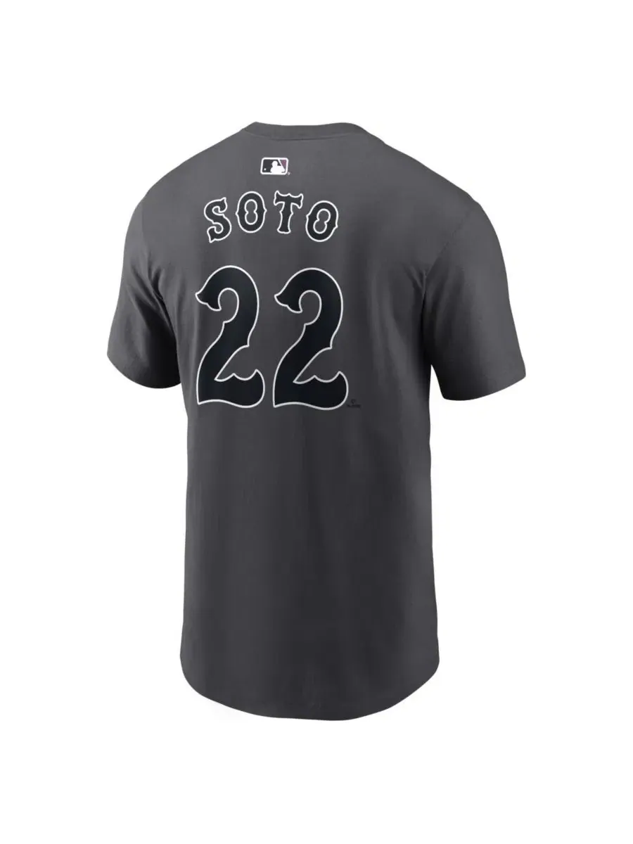 Футболка с длинным рукавом Juan Soto City Connect Nike — изображение 3 из 3, серый