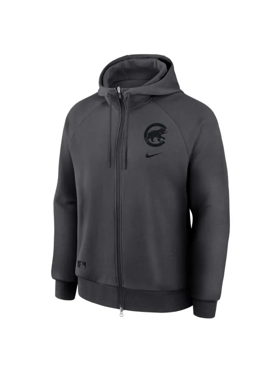 Худи с капюшоном и молнией, с длинным рукавом, модель Authentic Collection Player Raglan Nike — изображение 2 из 5, серый