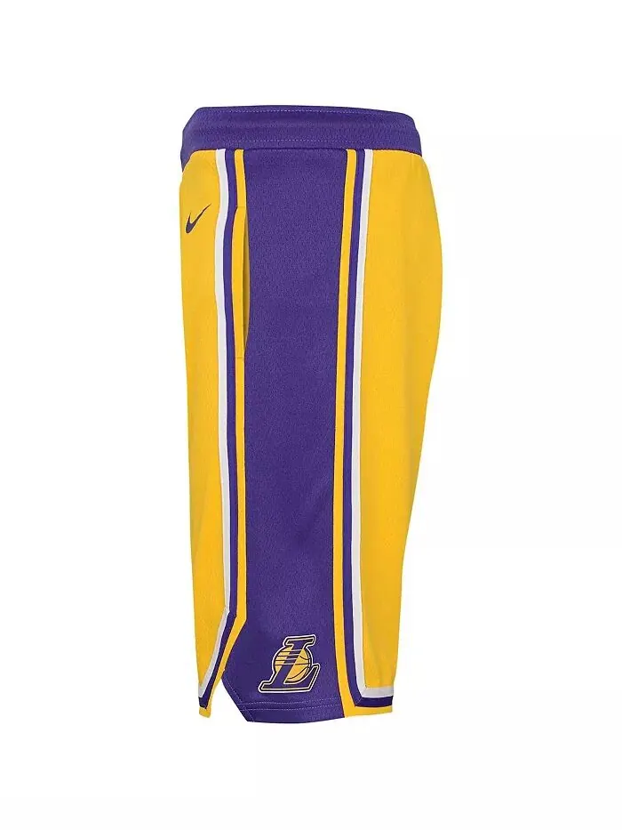 Шорты Big Boys Gold Los Angeles Lakers Icon Edition Mesh Performance Swingman Nike — изображение 2 из 2