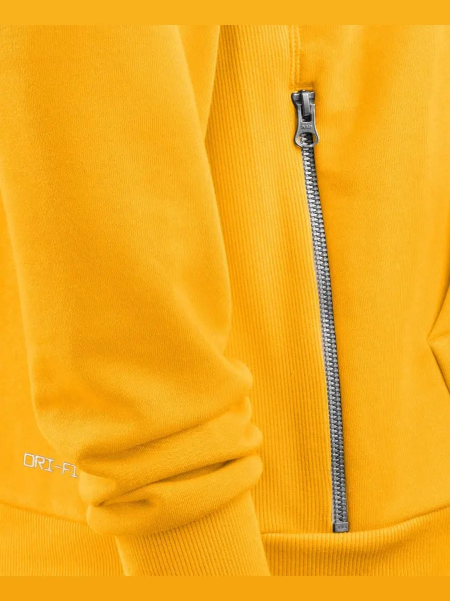 Худи с капюшоном Nike Pittsburgh Steelers — изображение 4 из 4, золото