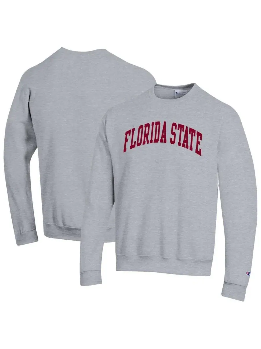 Свитшот с длинным рукавом Champion Basic Arch Fleece Pullover — изображение 1 из 3, серый