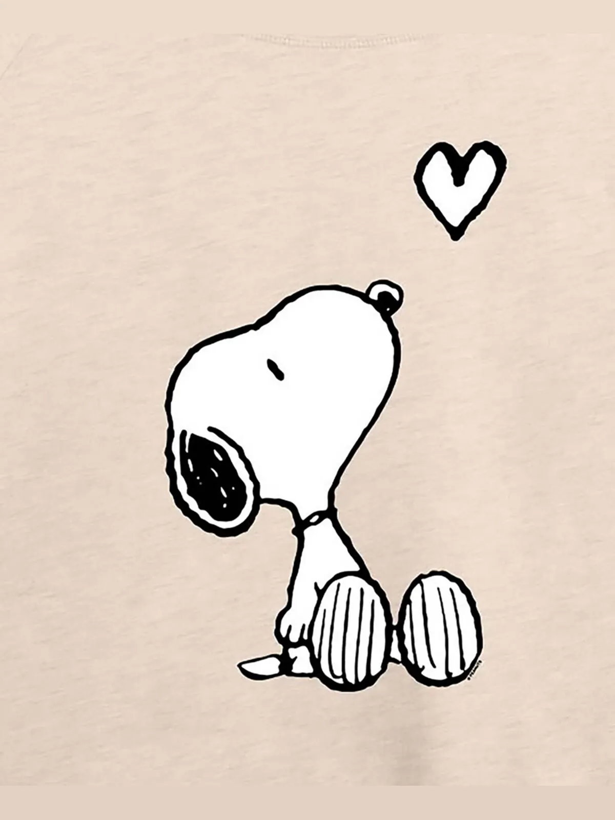 Модный пуловер больших размеров Snoopy с длинными рукавами и графическим рисунком Air Waves — изображение 3 из 3
